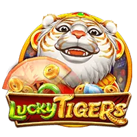 Microgaming Provider